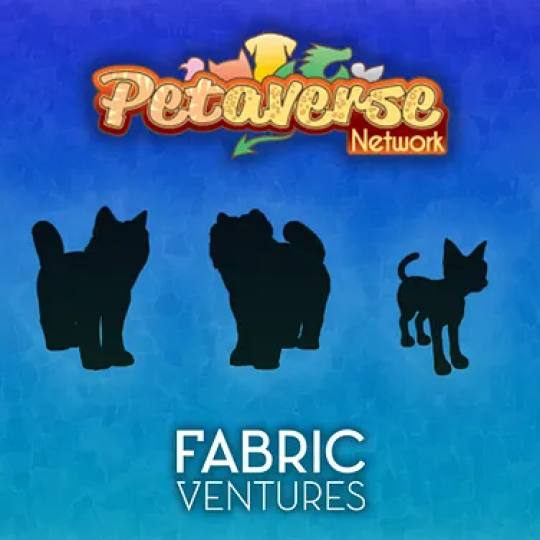 Why we Invested in the Petaverse Network